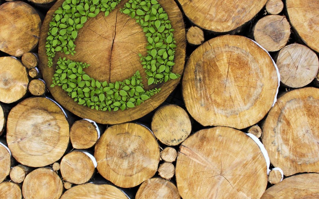 Happy, Healthy, and Green: The Green Building Movement